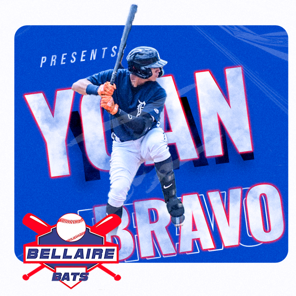 The Academy bellaire bats